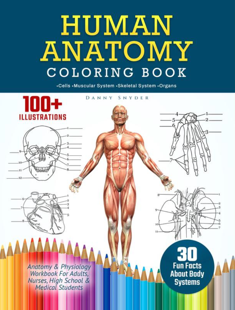 Human Anatomy Book