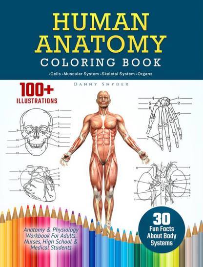 Human Anatomy Book