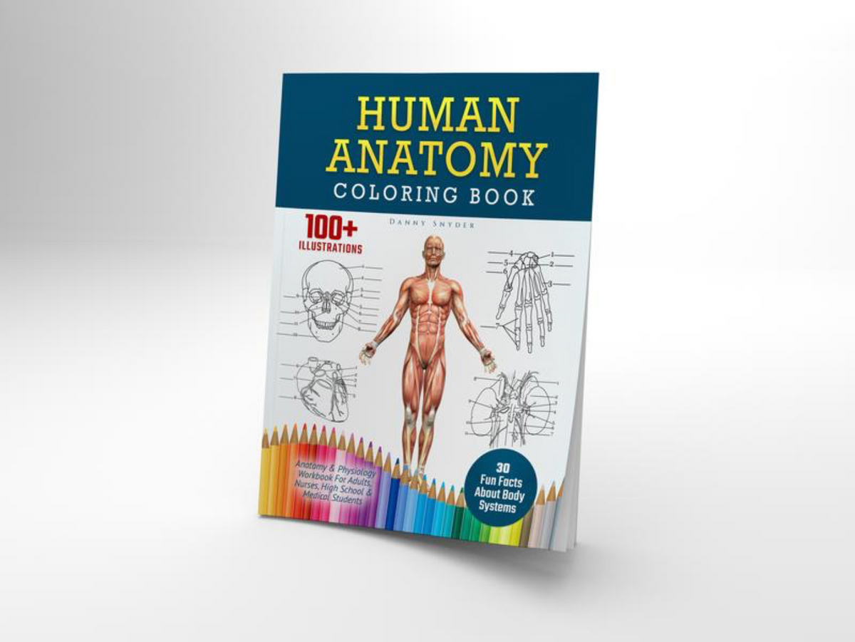 Human Anatomy Book