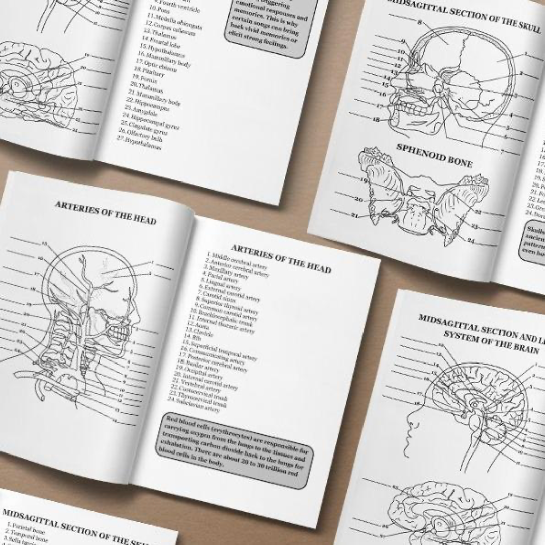 Human Anatomy Book
