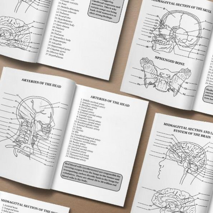 Human Anatomy Book